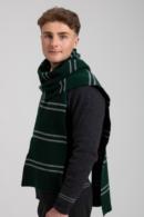 OFFICIAL WARNER BROS. HARRY POTTER SLYTHERIN SCARF 300g